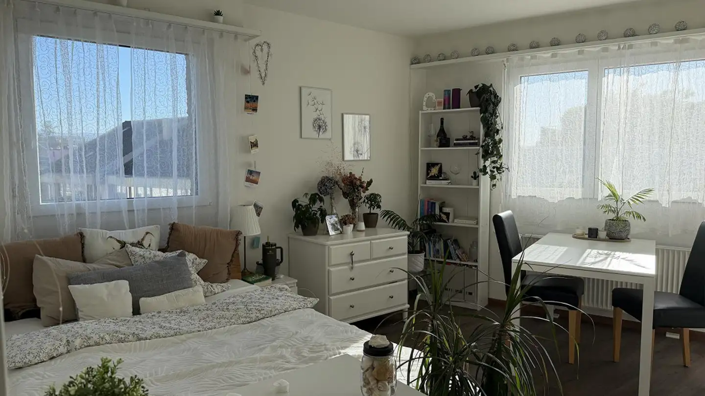 Penthouse for rent - Rudolfstrasse 3, 4054 Basel - Photo 2