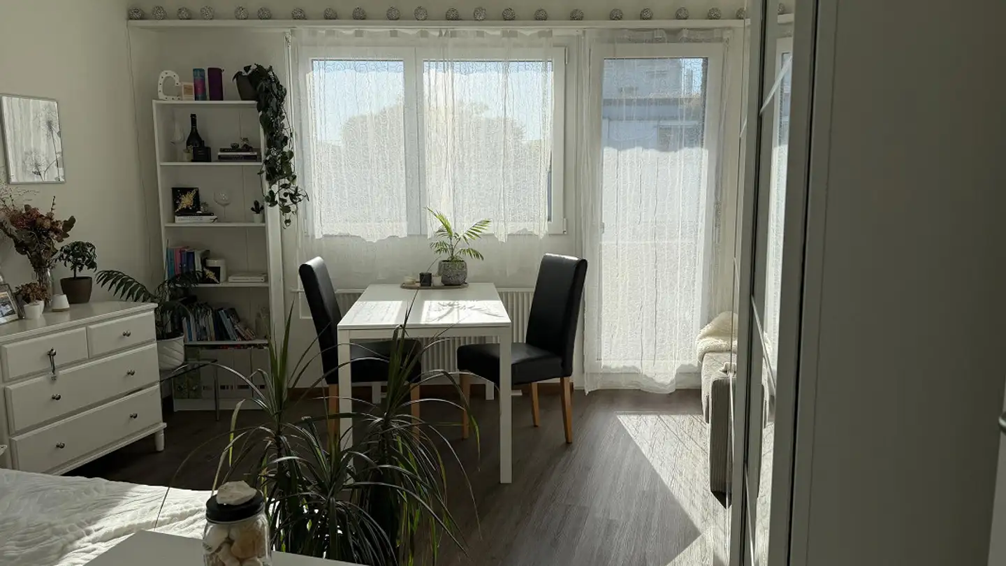 Penthouse for rent - Rudolfstrasse 3, 4054 Basel - Photo 3