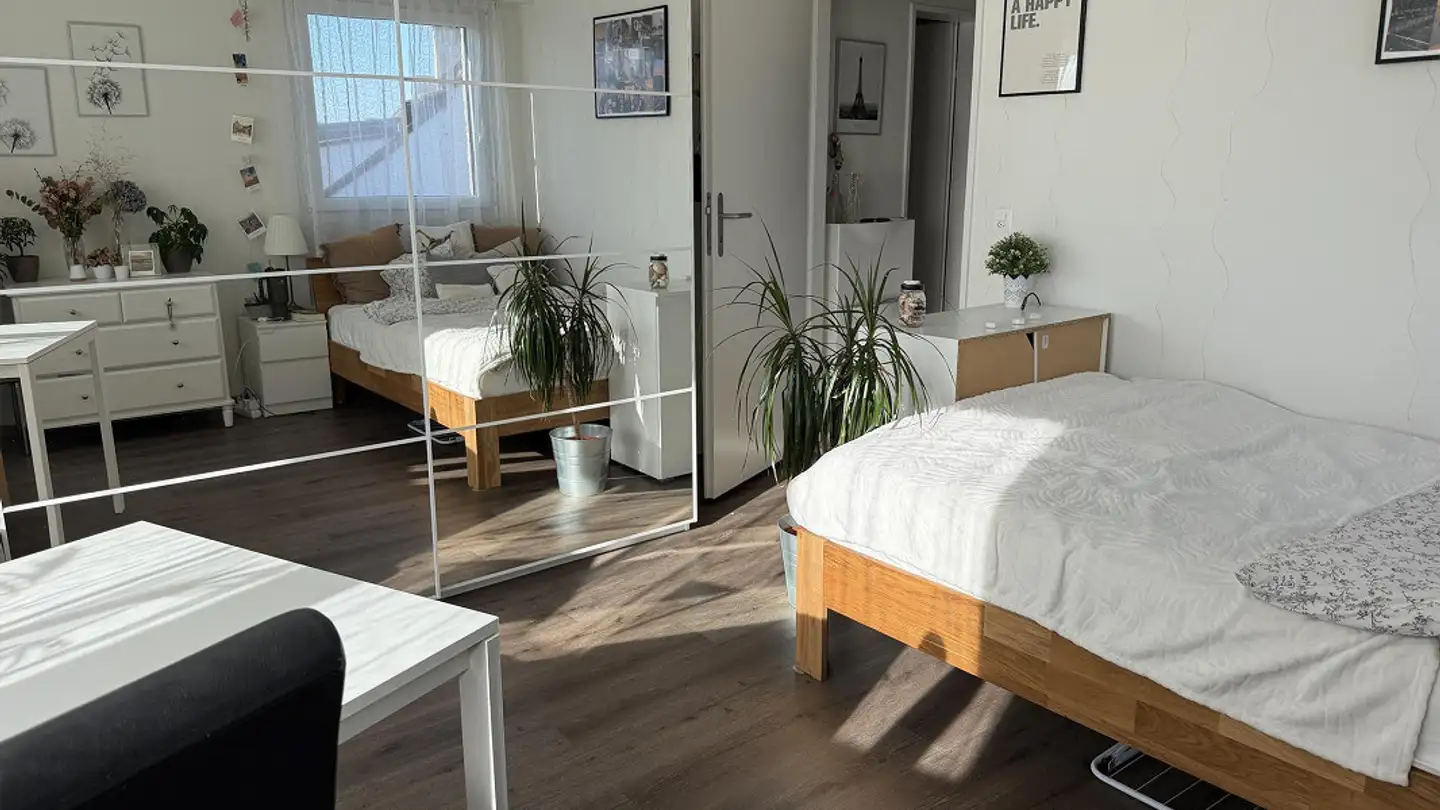 Penthouse for rent - Rudolfstrasse 3, 4054 Basel - Photo 4