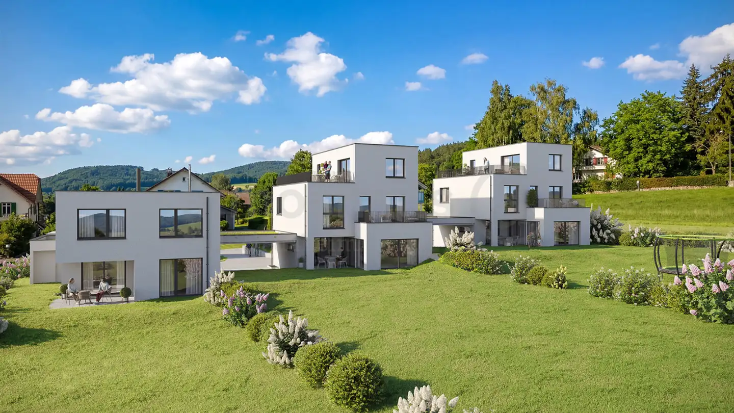 Casa singola in vendita - Schorenstrasse, 5734 Reinach AG - Foto 2