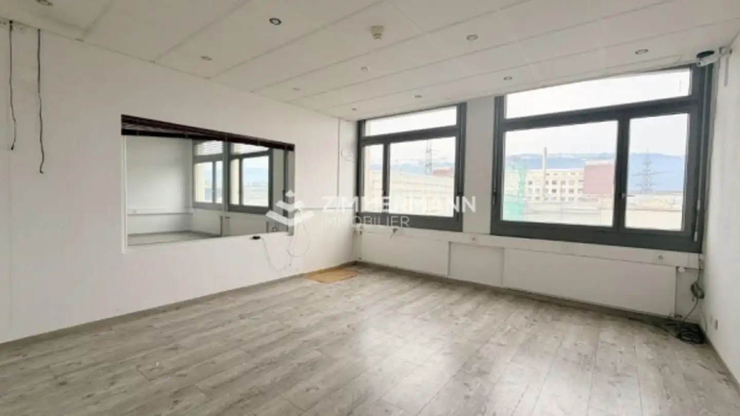 Spazio ufficio in affitto - Rue Du Pré-Bouvier, 1242 Satigny - Foto 3