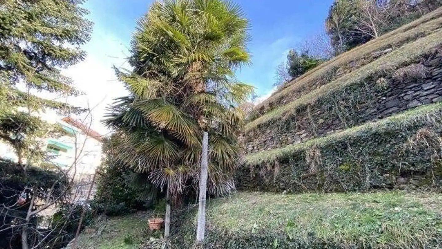 Terrain constructible à vendre - 6500 Bellinzona - Photo 3