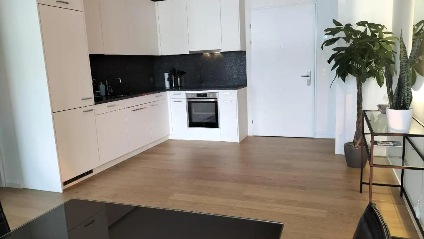 Appartamento in affitto - Mellingerstrasse 18, 5400 Baden - Foto 4