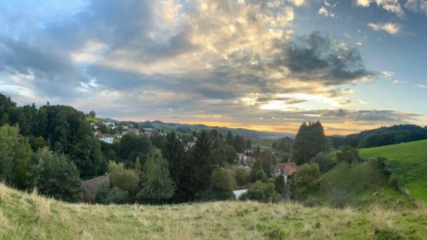 Maison individuelle à louer - Hintere Gstalden 852, 9062 Lustmühle - Photo 4