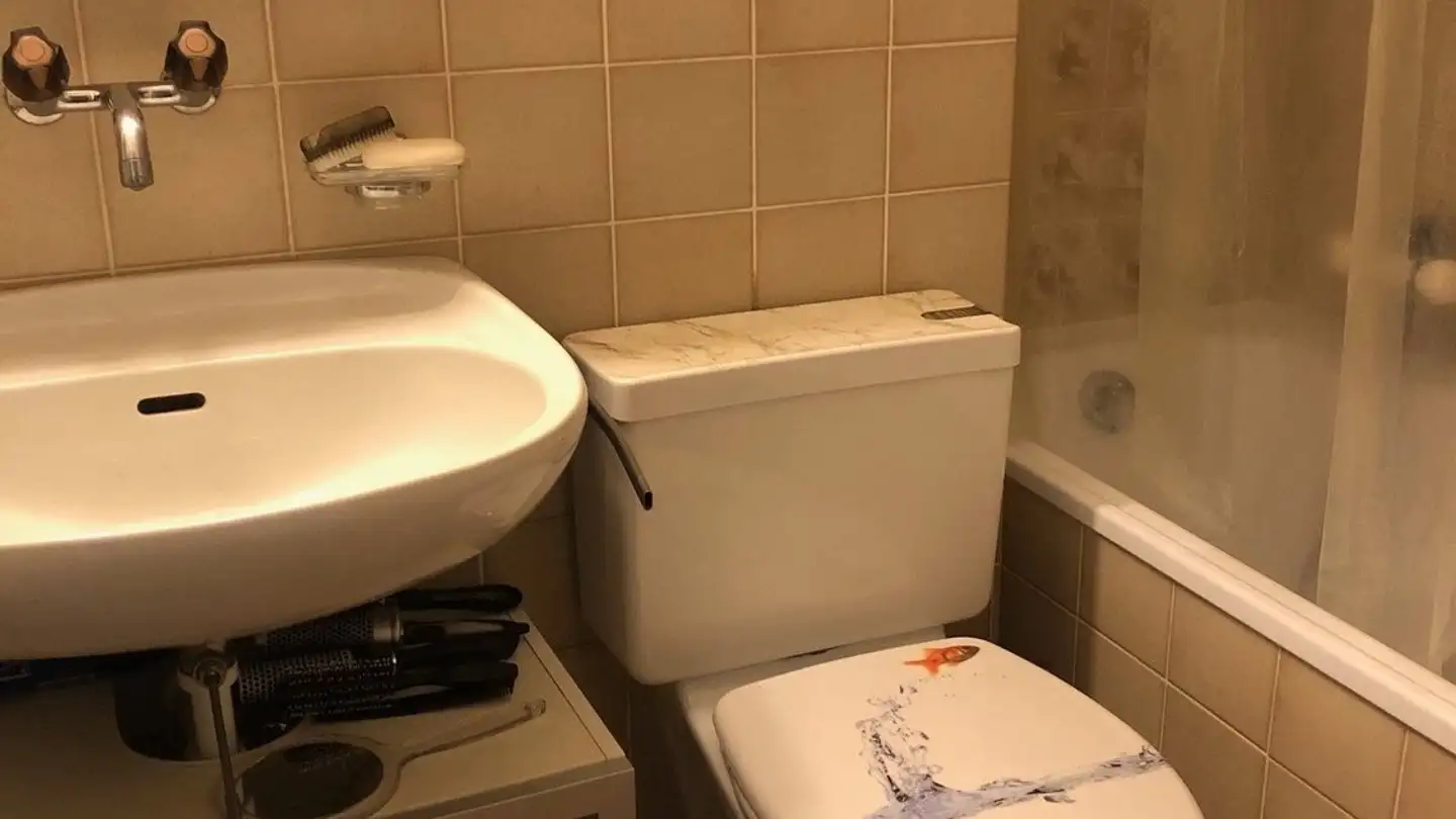 Stanza singola in affitto - Laufenstrasse, 4053 Basel - Foto 4