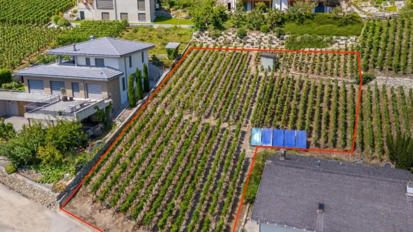 Terrain constructible à vendre - Sonnhalde 8, 3953 Leuk Stadt - Photo 2