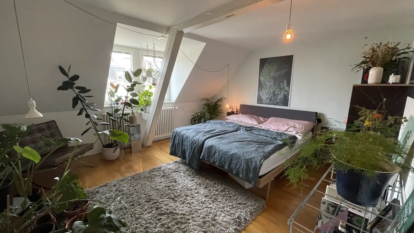 Zimmer mieten - Kernstrasse 38, 8004 Zürich