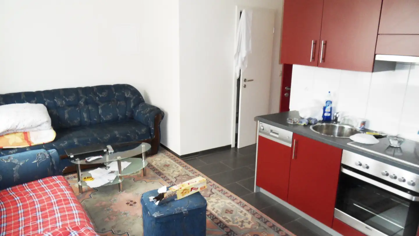 Apartment for rent - Hauptstrasse 54, 8546 Islikon - Photo 4