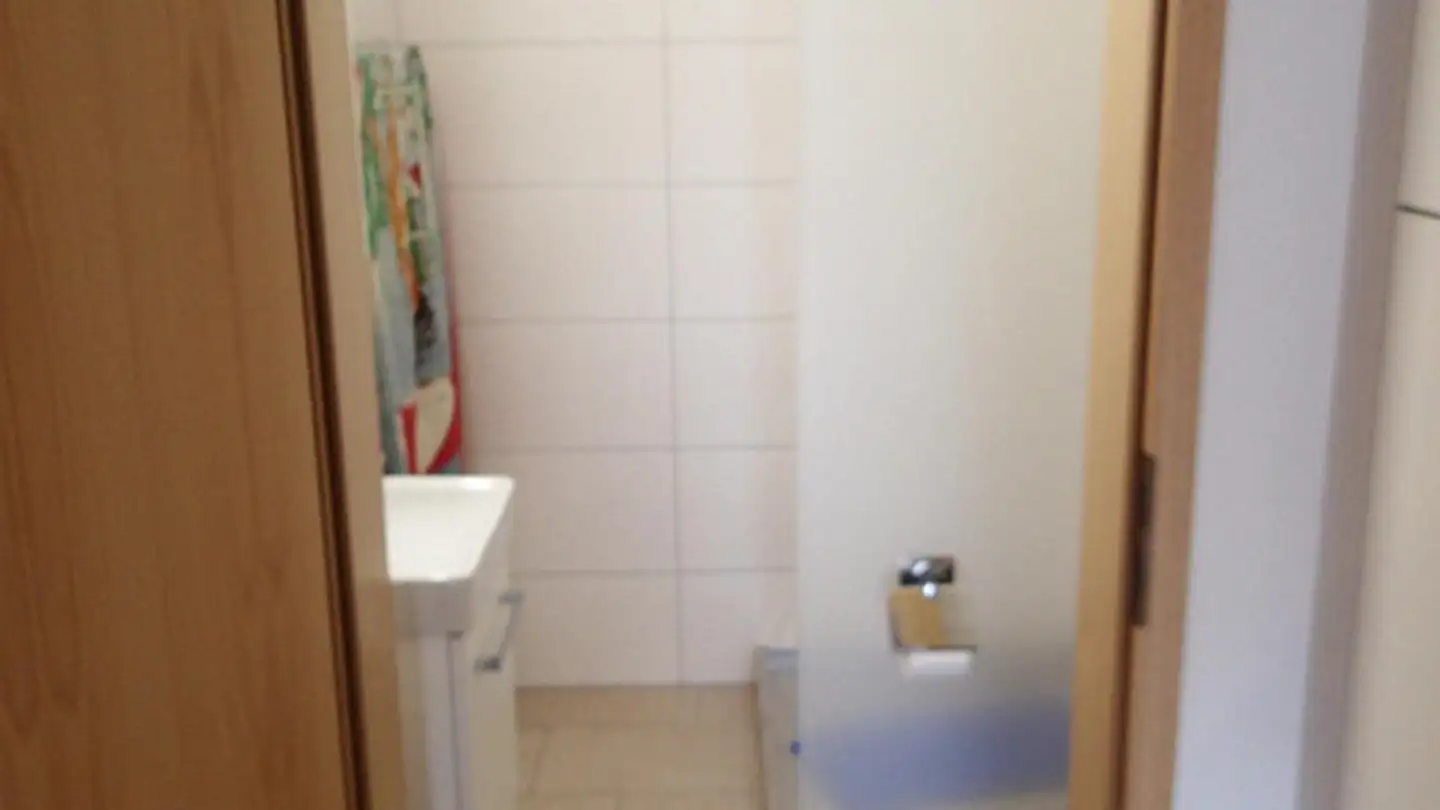 Wohnung mieten - Rinikerstrasse 8, 5236 Remigen - Foto 3
