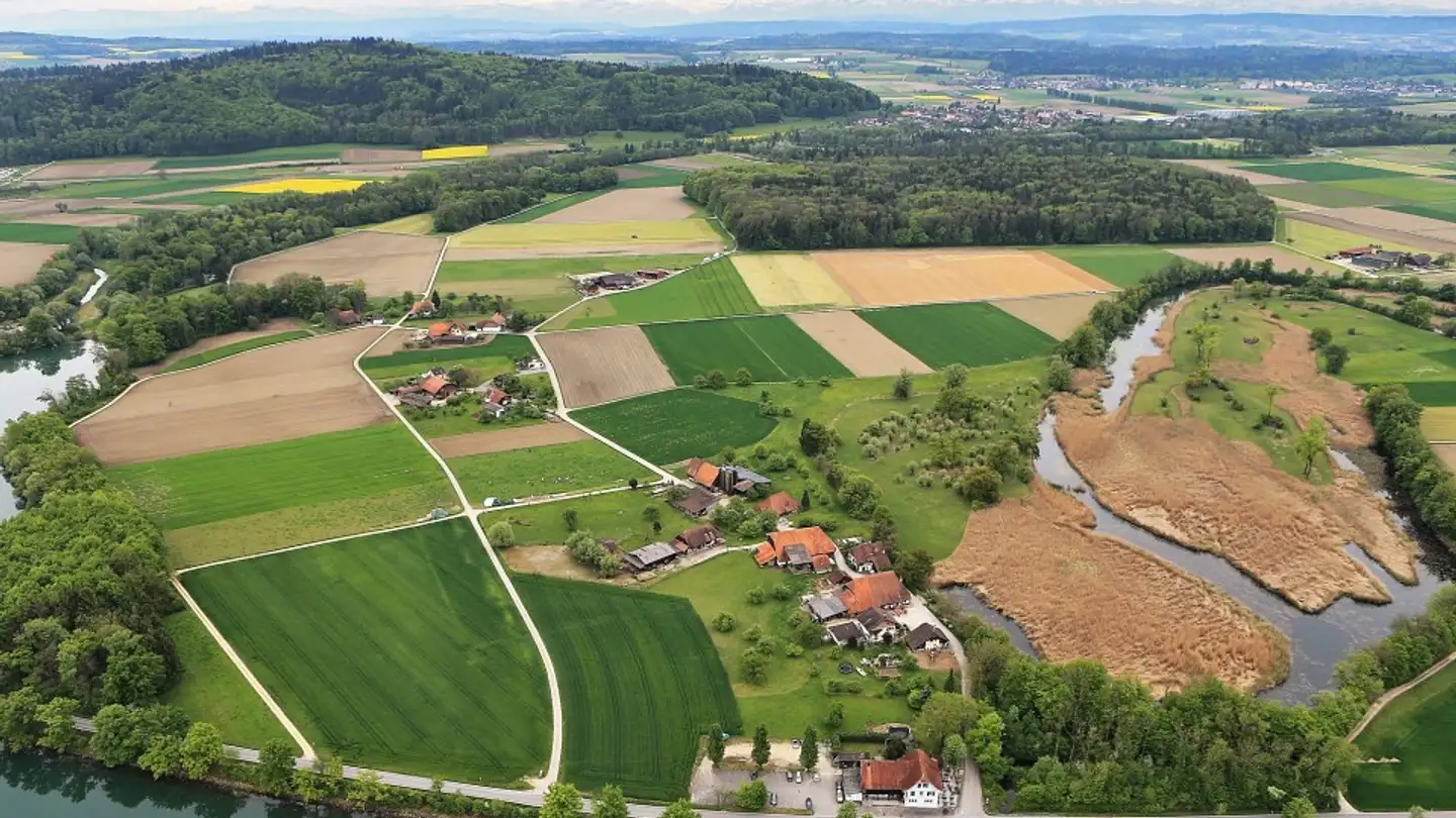Einfamilienhaus kaufen - 3294 Meienried - Foto 4