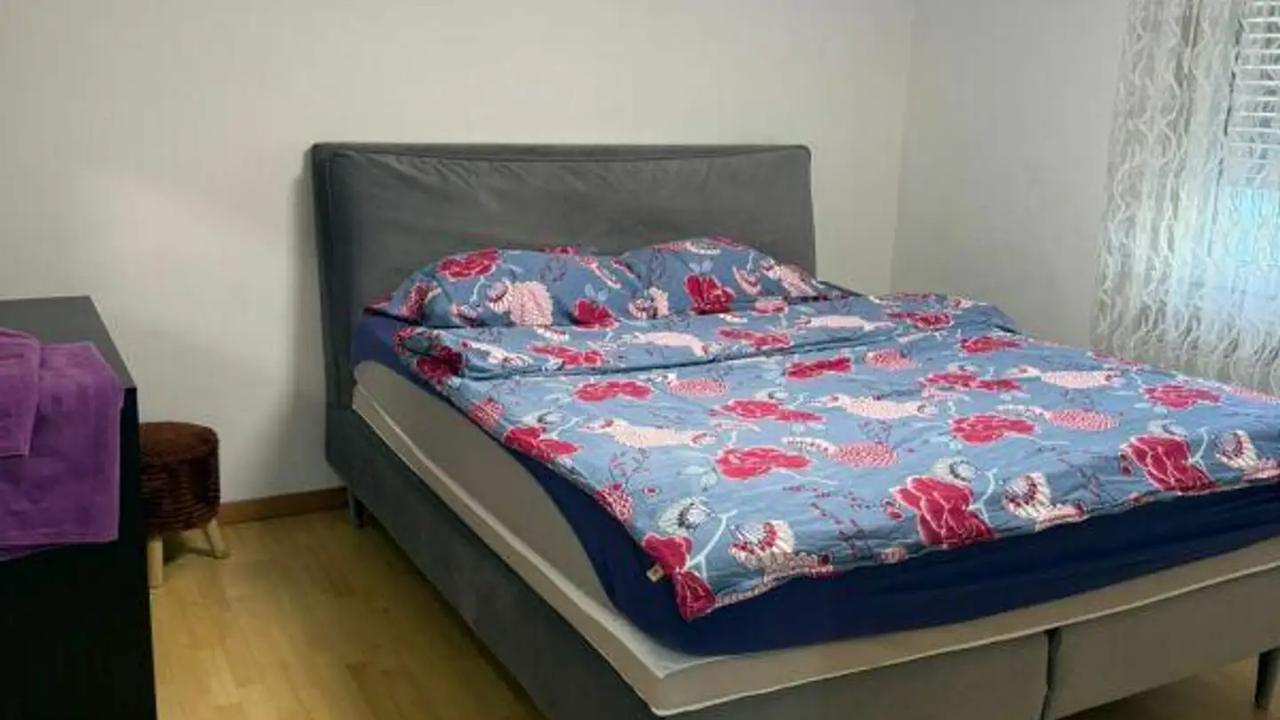 Apartment for rent - Wolhausenstrasse, 8910 Affoltern am Albis - Photo 3