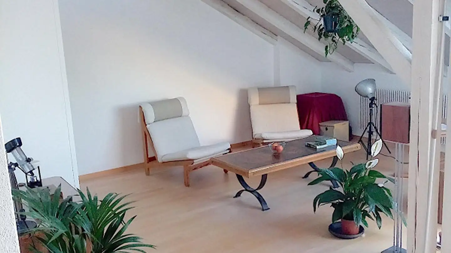 Penthouse for rent - Attinghausenstrasse 9, 3014 Bern