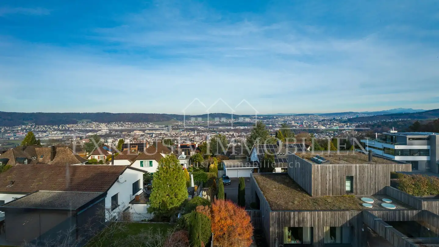 Single house for sale - 8962 Bergdietikon