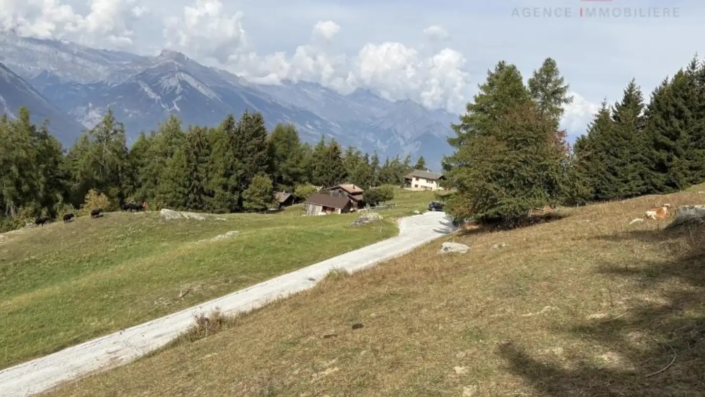 Terrain constructible à vendre - 1997 Haute-Nendaz