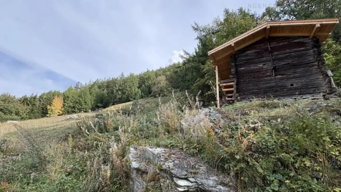 Bauland kaufen - 1997 Haute-Nendaz - Foto 2