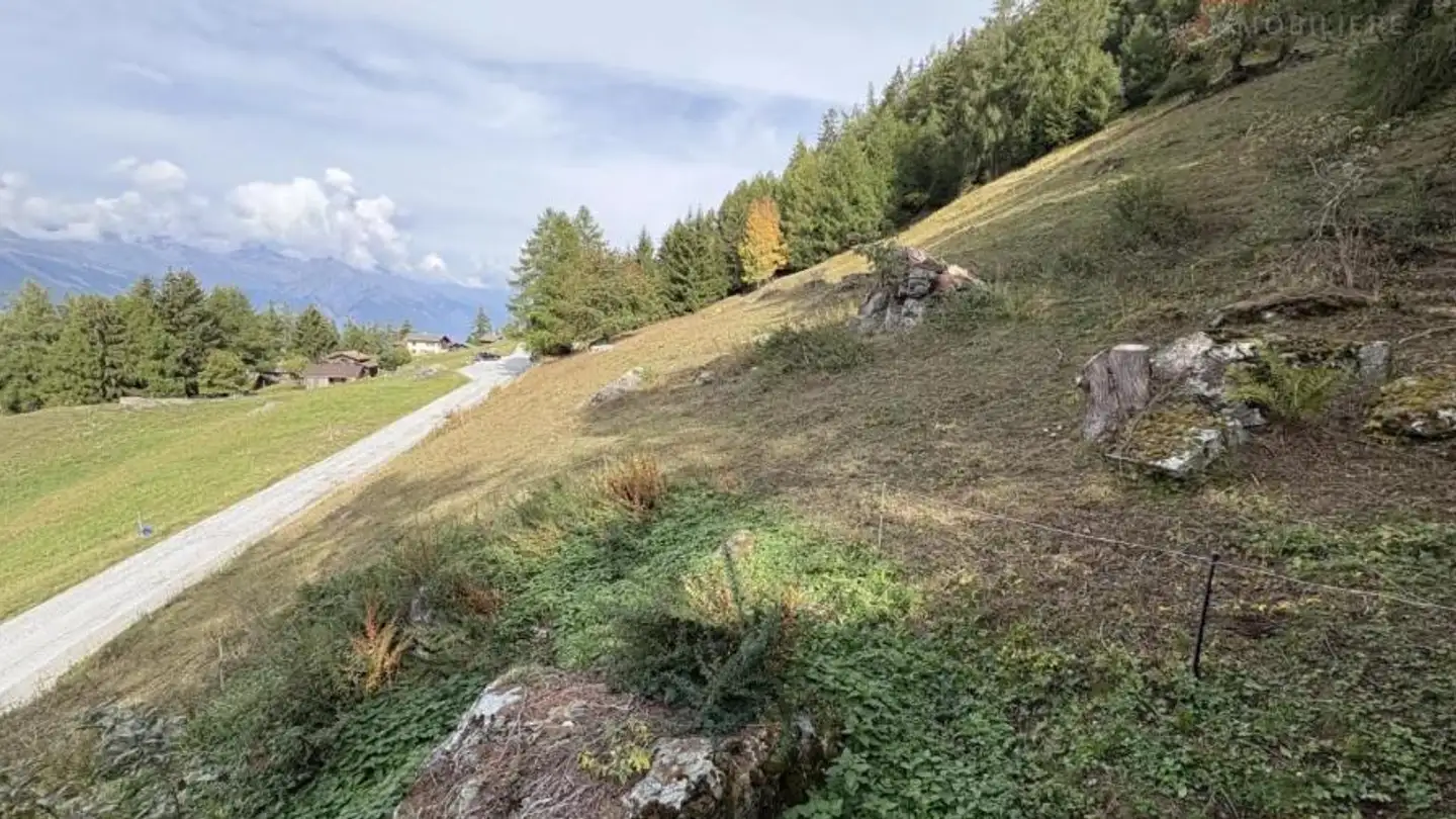 Bauland kaufen - 1997 Haute-Nendaz - Foto 3