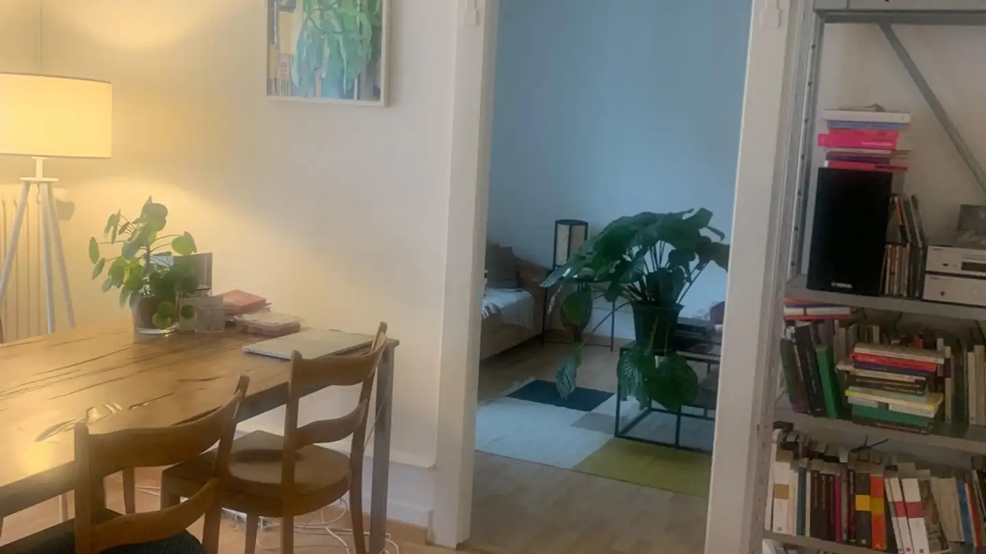 Möblierte Wohnung mieten - 8037 Zürich