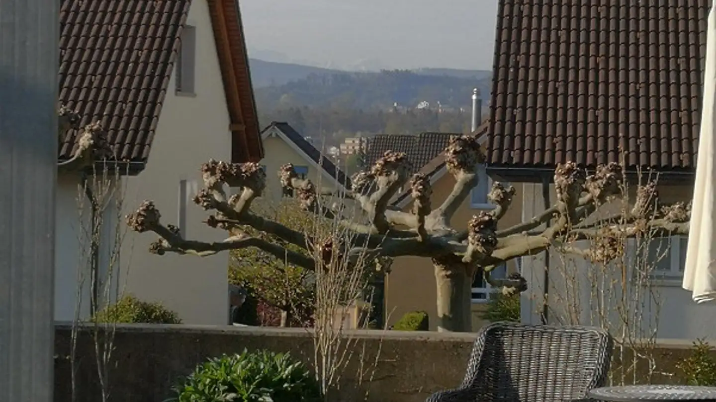 Einfamilienhaus mieten - Säntisstrasse 12, 8560 Märstetten - Foto 4