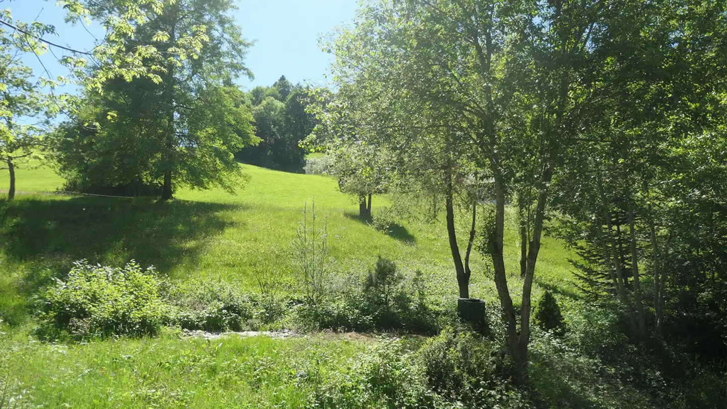 Casa singola in vendita - Badstrasse 22, 9633 Hemberg - Photo 3