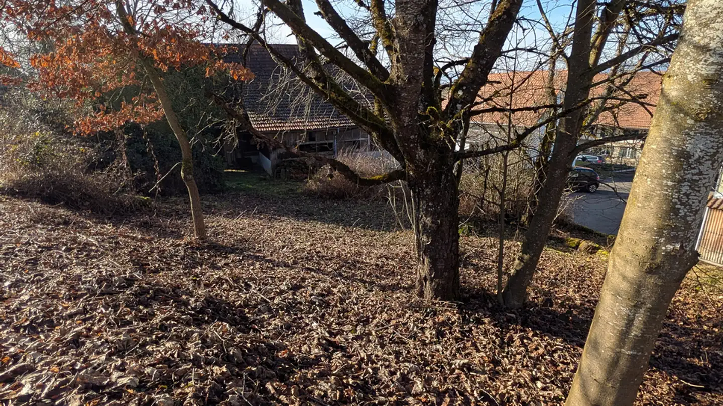 Single house for sale - Martigässli, 4585 Biezwil - Photo 4