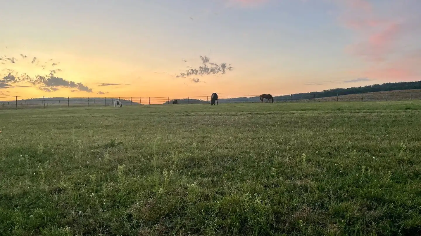 Maison individuelle à vendre - 2944 Bonfol - Photo 3