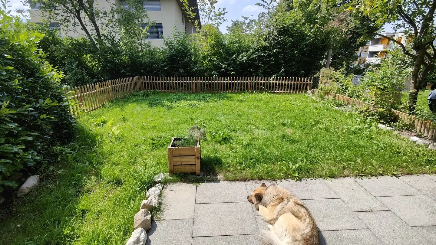 Appartamento in affitto - Hültschern 2, 6204 Sempach - Photo 4