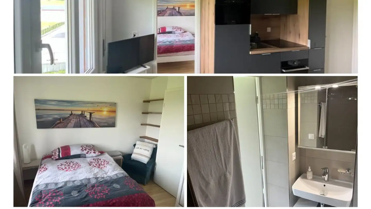 Apartment for rent - 1897 Bouveret