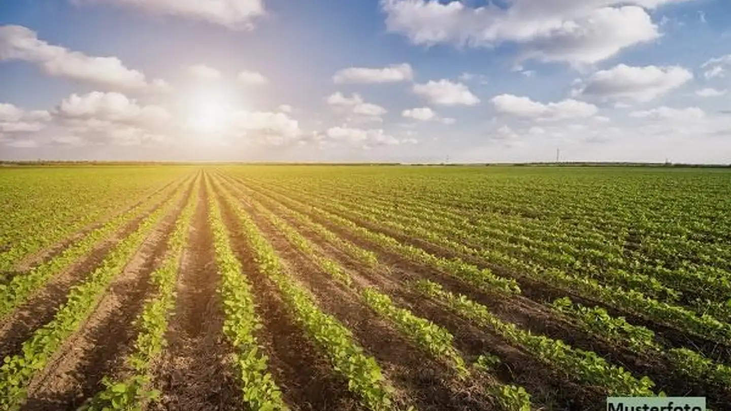 Property for sale - 6673 Maggia