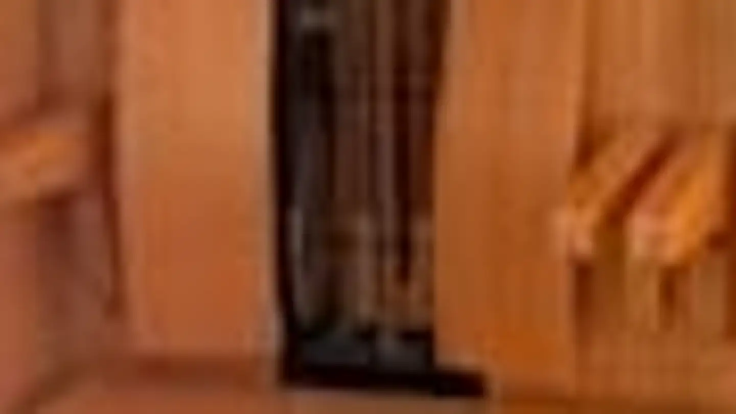 Dachgeschosswohnung mieten - Titus Tobler-Strasse 5, 9326 Horn - Foto 2