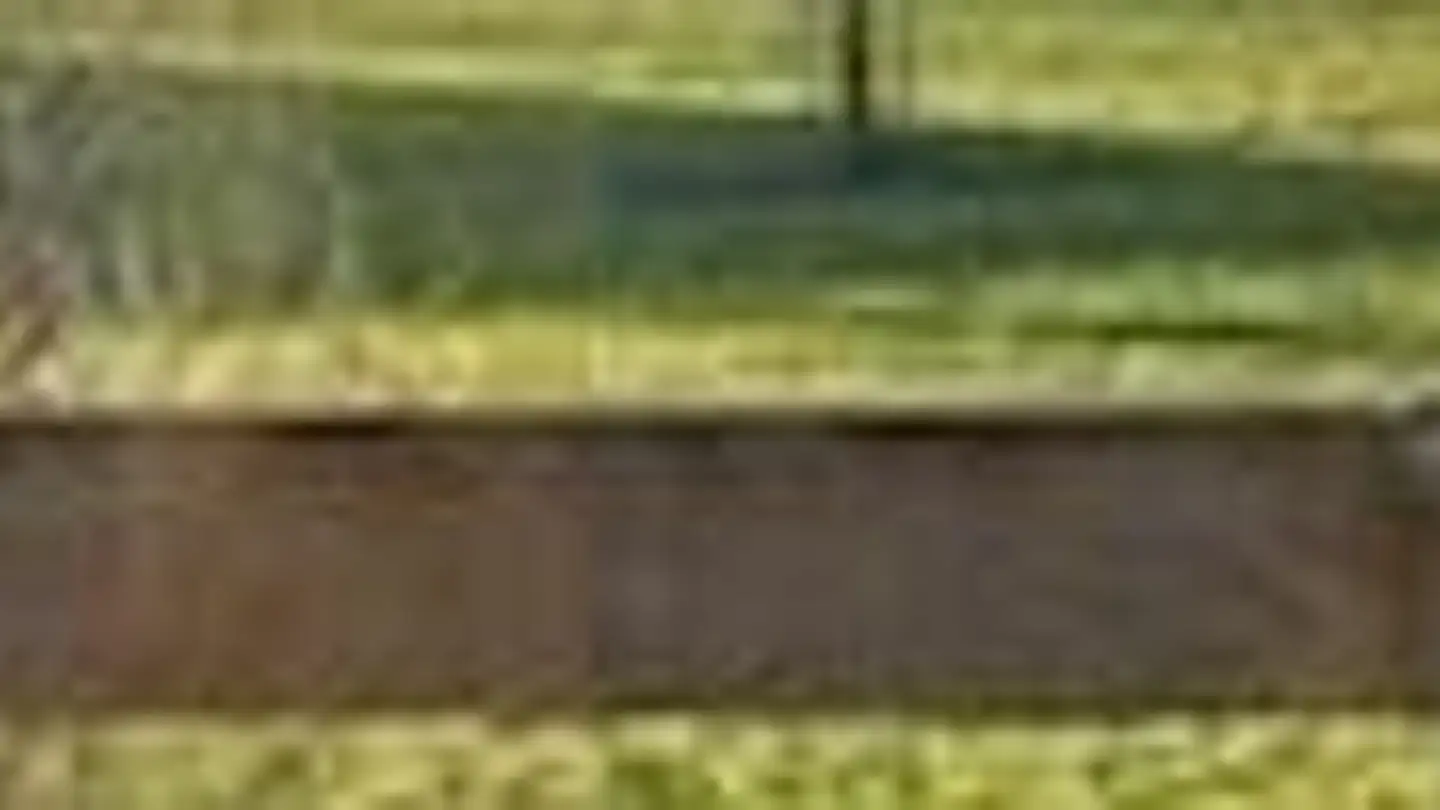 Dachgeschosswohnung mieten - Titus Tobler-Strasse 5, 9326 Horn - Foto 4