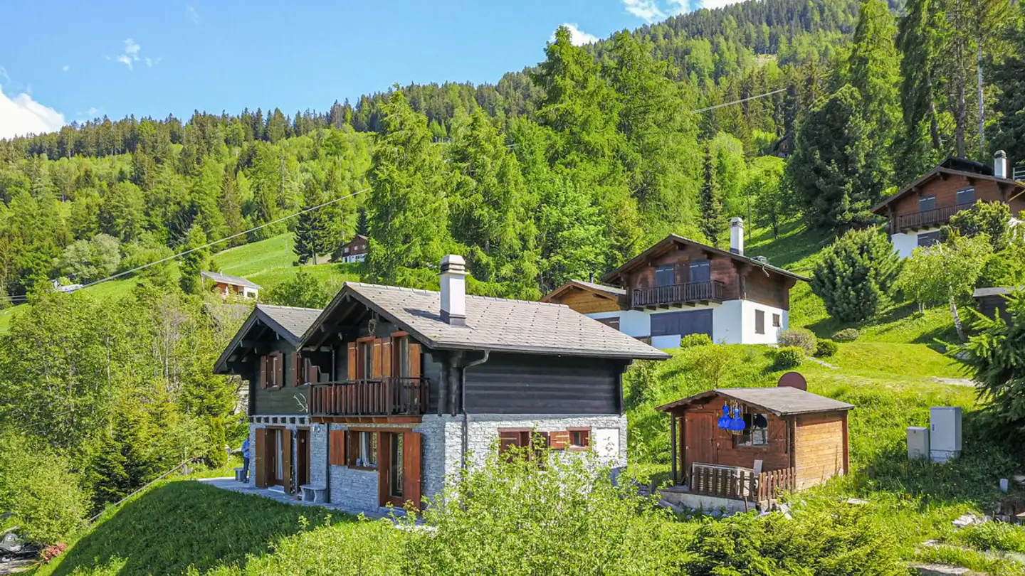 Single house for sale - 1997 Haute-Nendaz