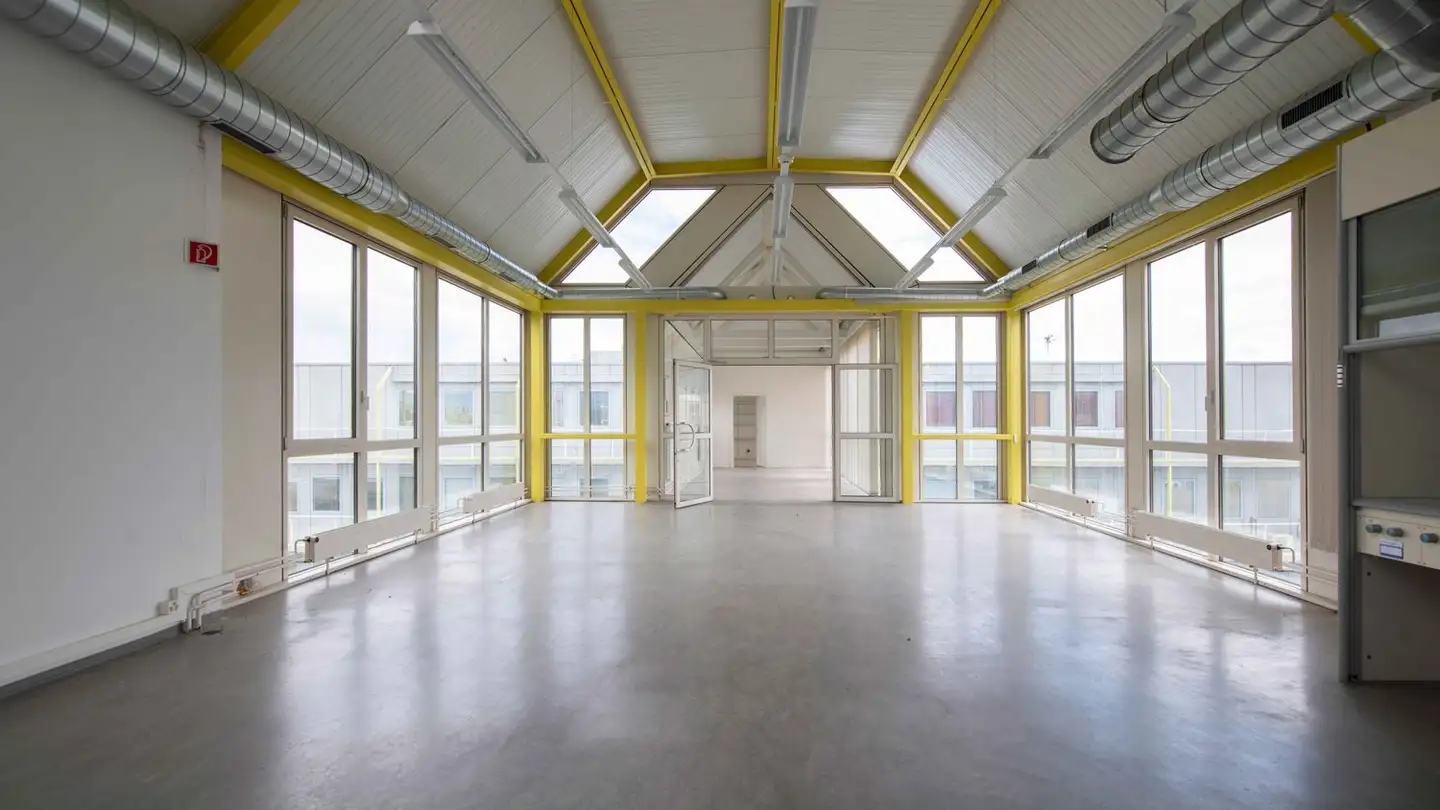 Industrial property for rent - Chemin Des Aulx 12, 1228 Plan-les-Ouates