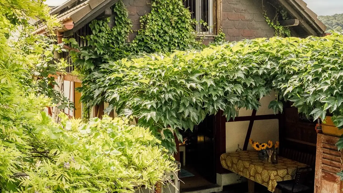 Apartment for rent - Breitiweg 3, 8264 Eschenz - Photo 4