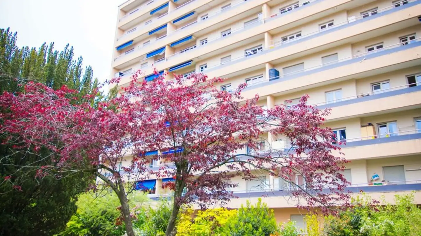 Wohnung mieten - Chemin De La Grosse-Pierre 4, 1110 Morges