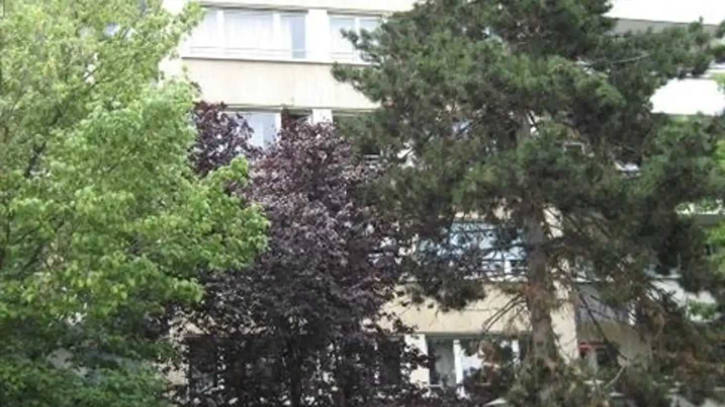 Appartement à louer - Chemin Des Ouches 3, 1203 Genève