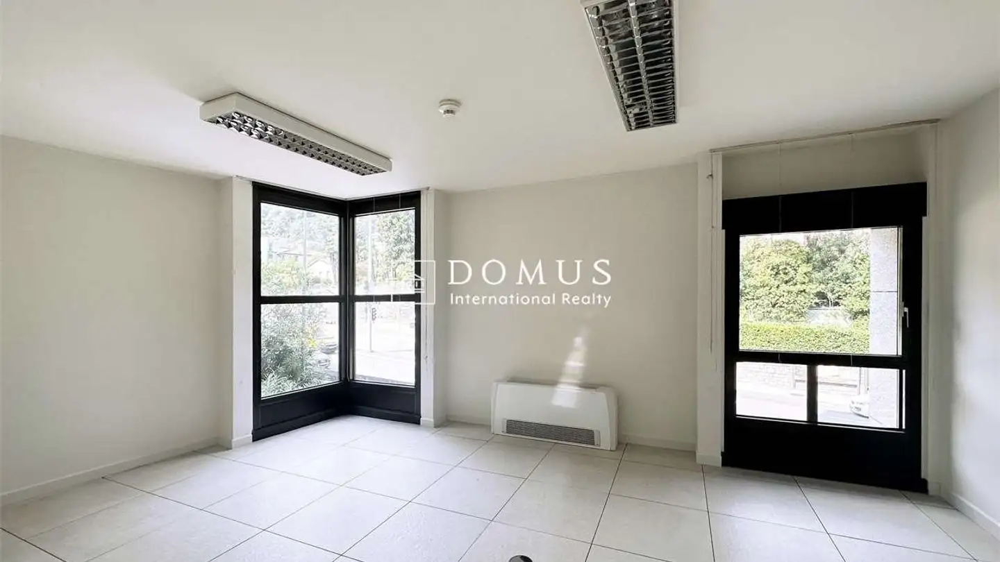 Spazio ufficio in affitto - Viale Giuseppe Cattori, 6900 Paradiso - Foto 3