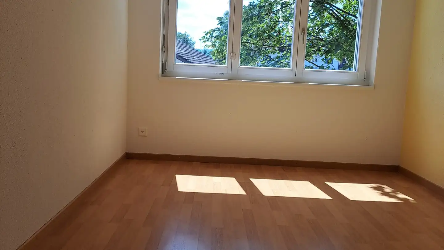 Appartamento in vendita - Juchstrasse 30, 9548 Matzingen - Photo 2