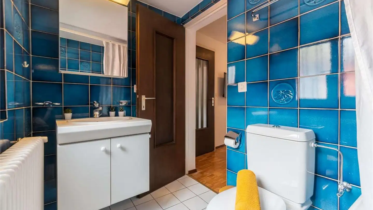 Appartamento in vendita - 6949 Comano - Photo 4