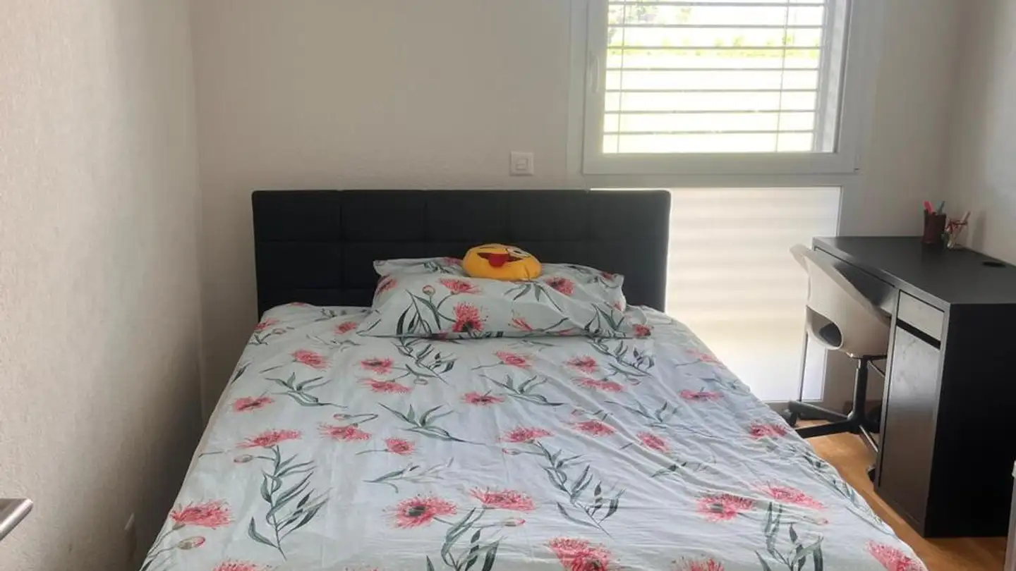 Wohnung mieten - Chemin Falconnier 11, 1260 Nyon - Foto 4