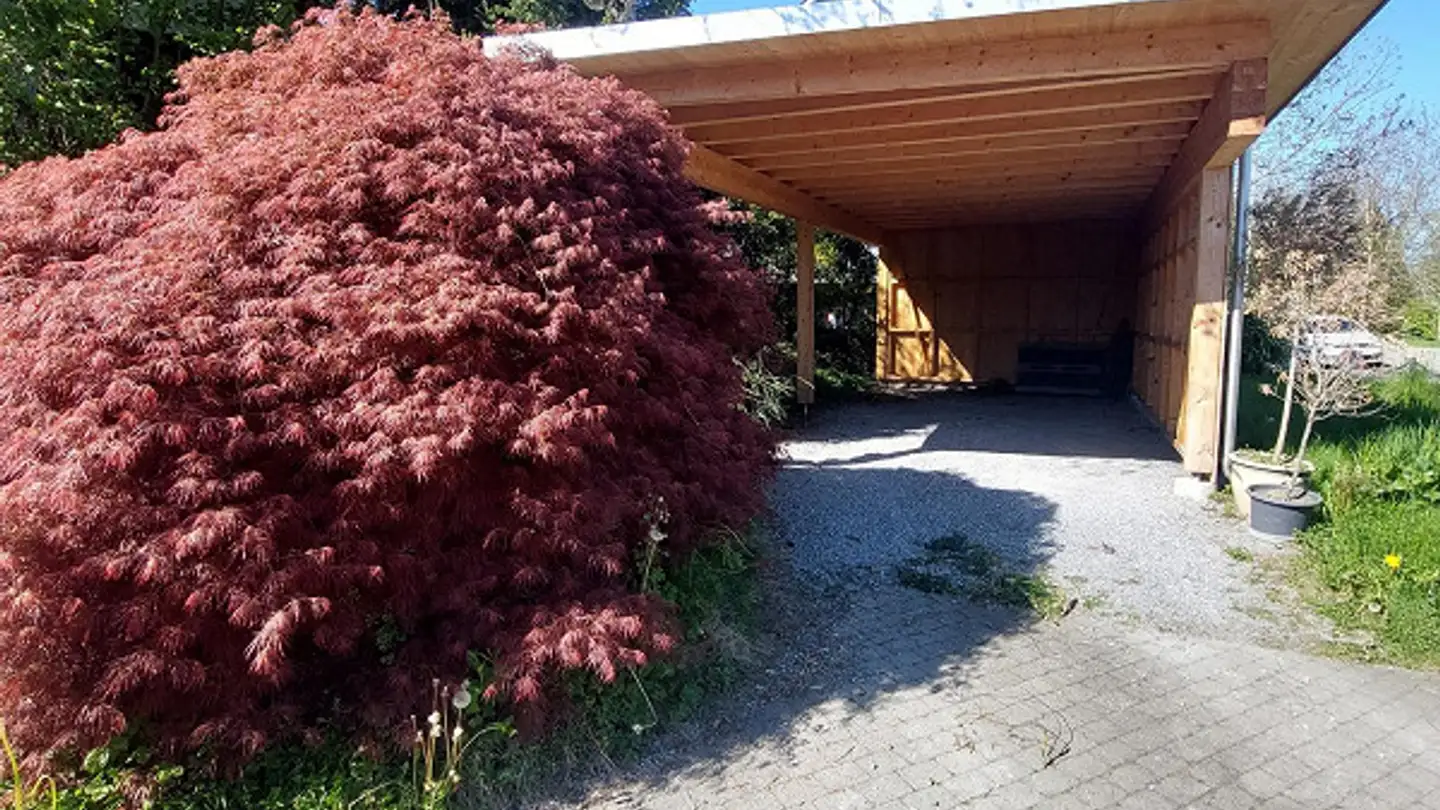 Single house for rent - Toggenburgerstrasse 22, 9230 Flawil - Photo 2