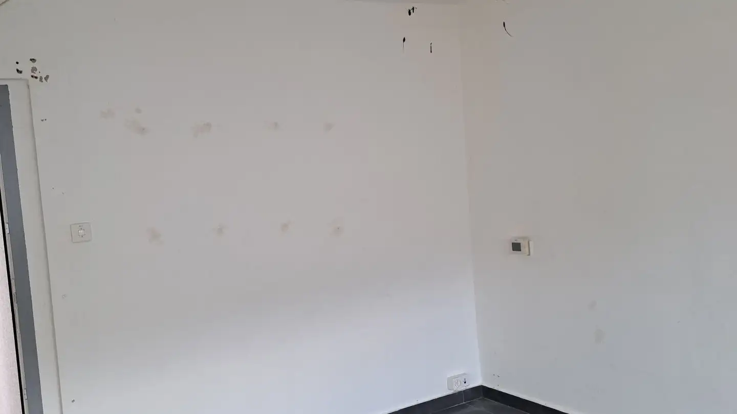 Commerciale in affitto - Baumgartenstrasse 10, 2575 Täuffelen - Photo 4