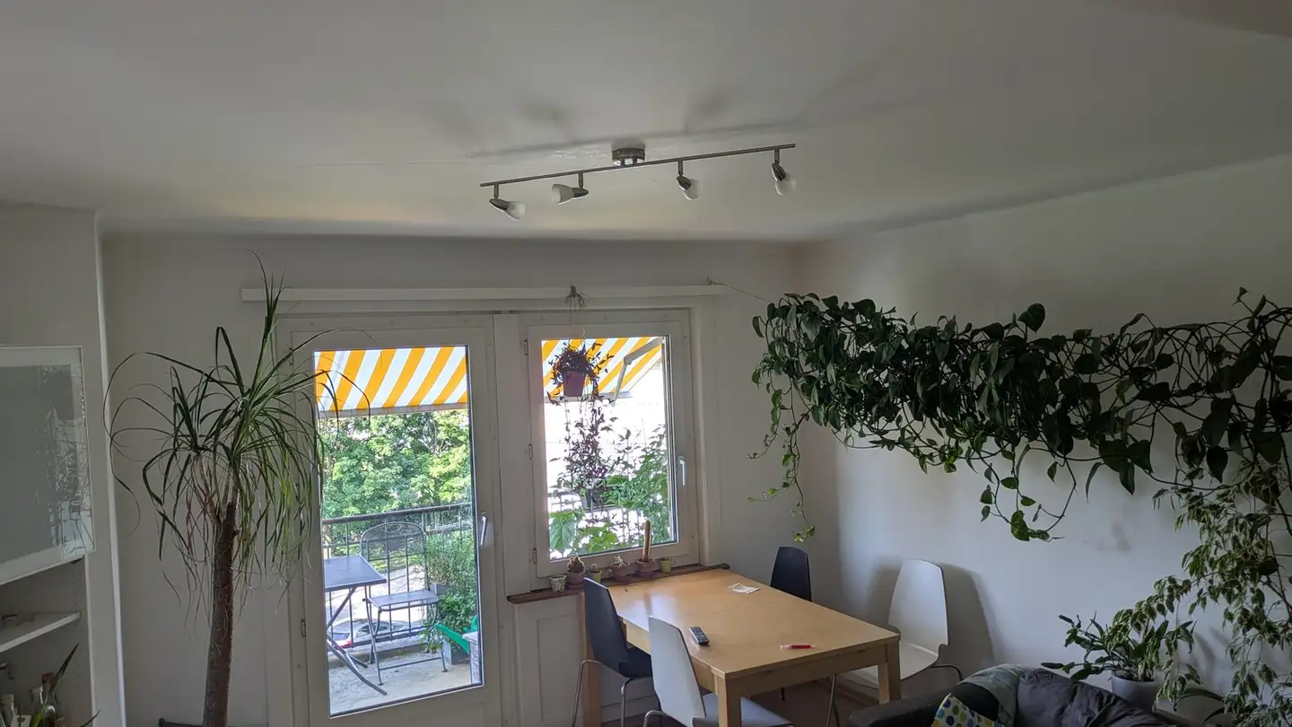 Stanza singola in affitto - 8052 Zürich