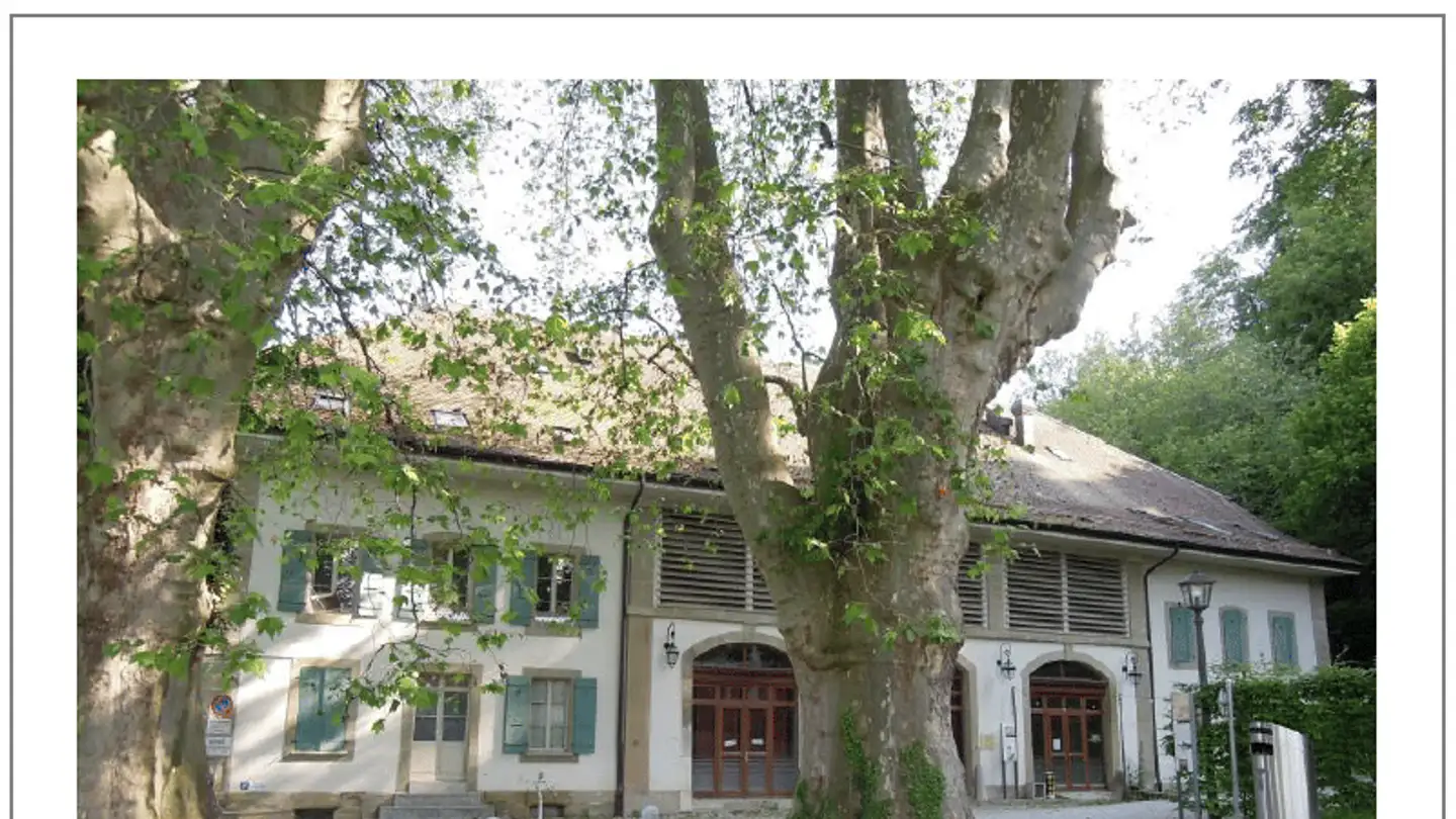 Appartement meublé à vendre - Chemin Guillaume-De-Pierrefleur 74, 1004 Lausanne