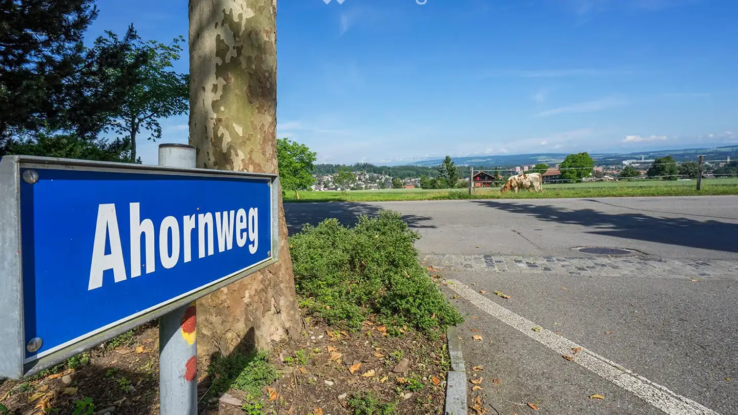Single garage for rent - Ahornweg 27, 3095 Spiegel b. Bern