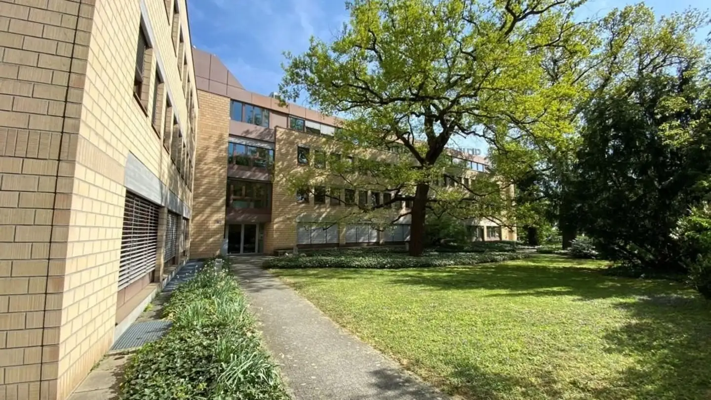 Bureau à louer - Gellertstrasse 55, 4052 Basel