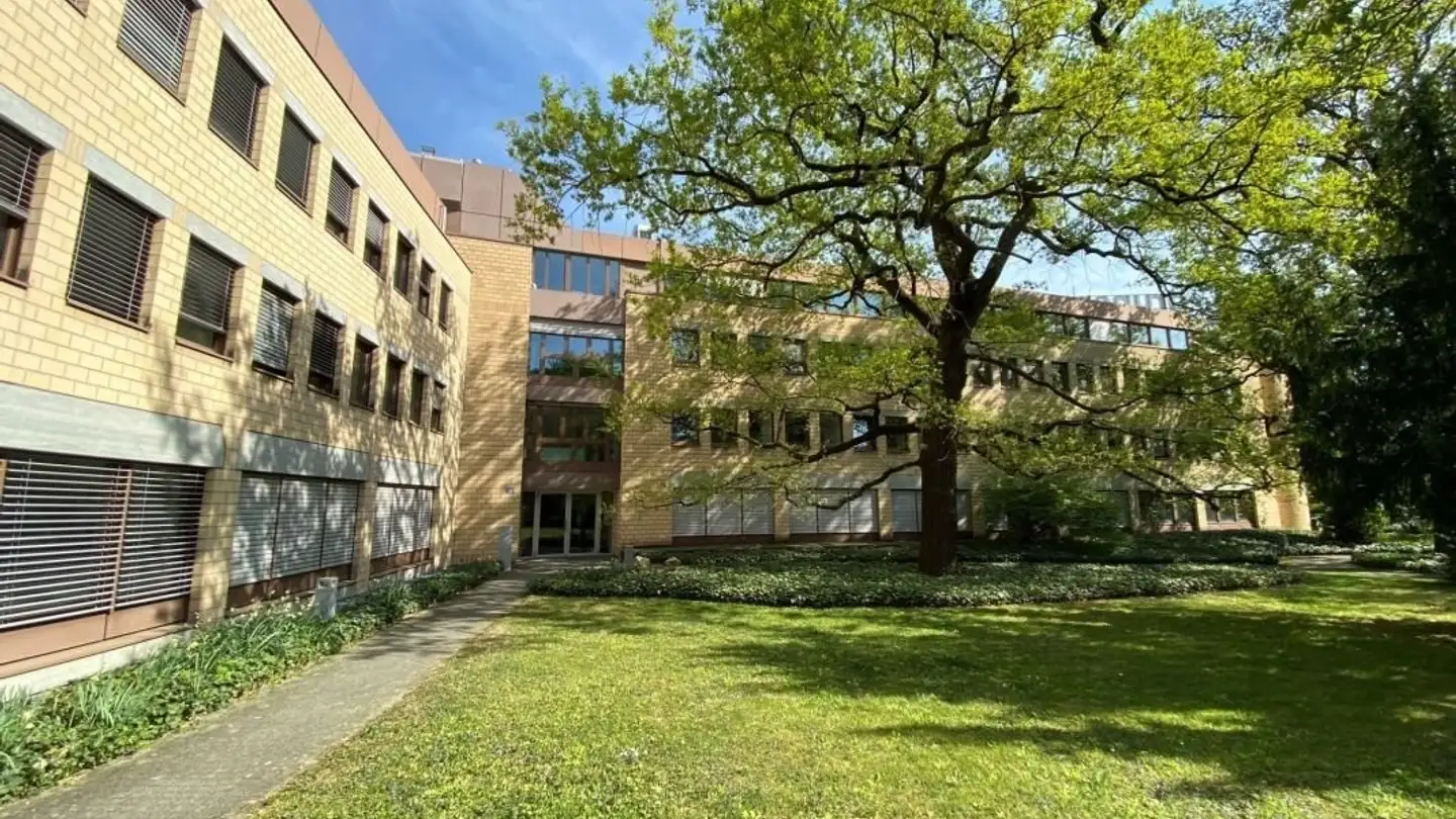 Bureau à louer - Gellertstrasse 55, 4052 Basel - Photo 2