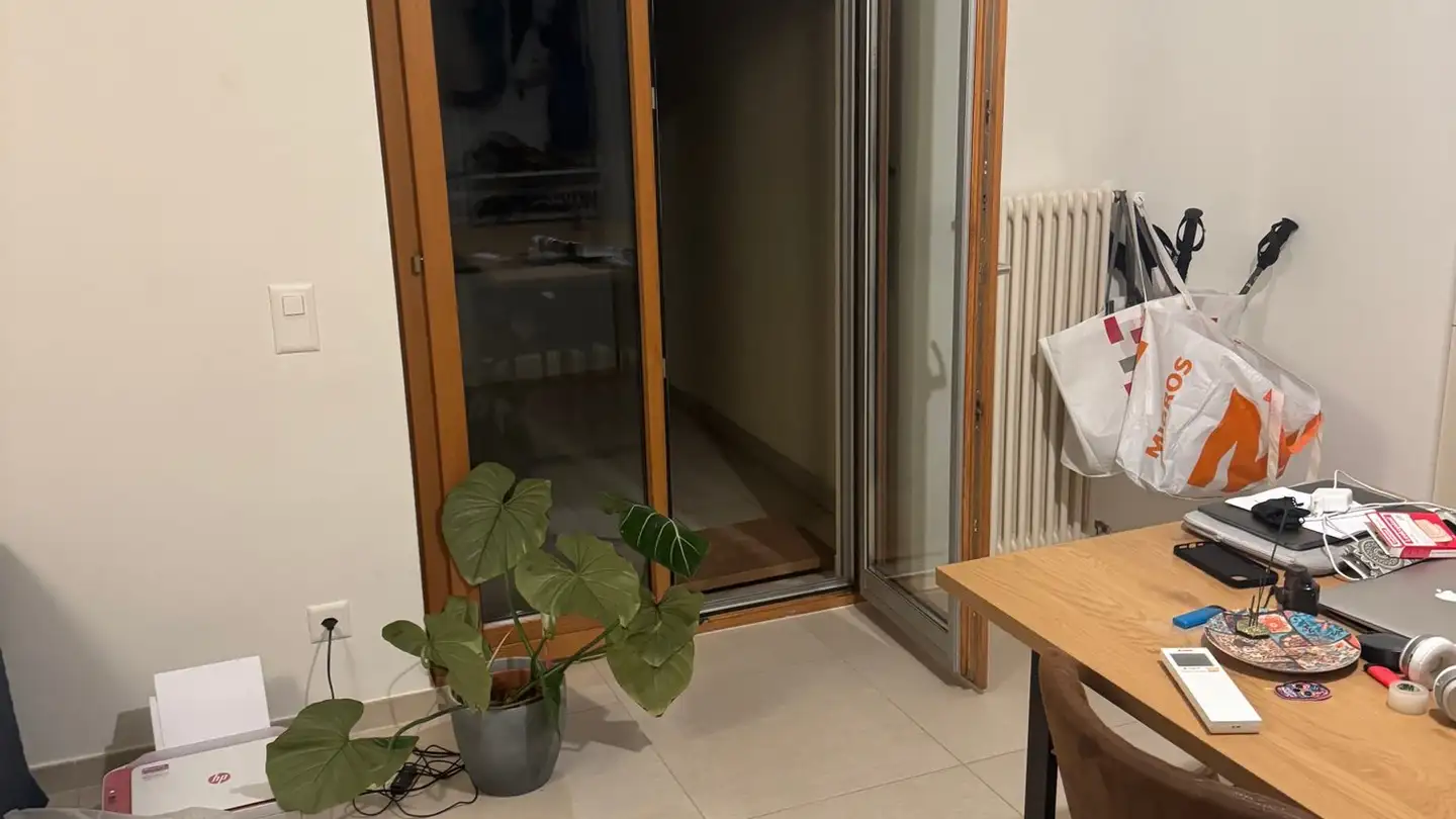 Apartment for rent - 6950 Tesserete - Photo 3