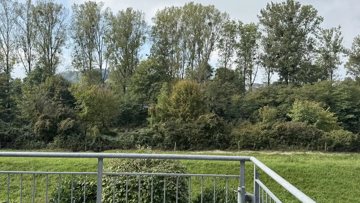 Maison individuelle à vendre - Saanegässli 10, 3205 Gümmenen - Photo 4