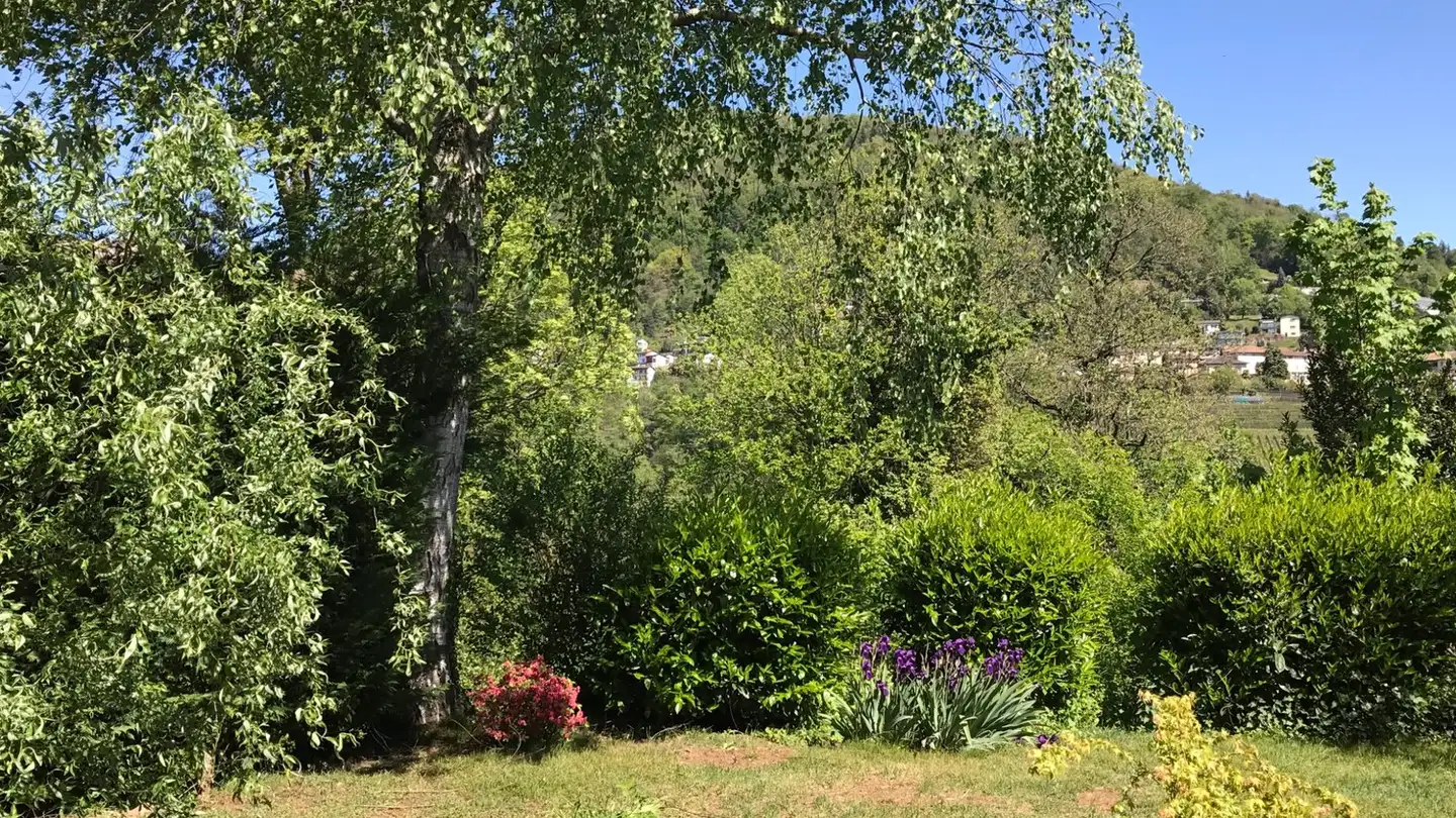 Casa singola in affitto - 6984 Pura - Foto 3