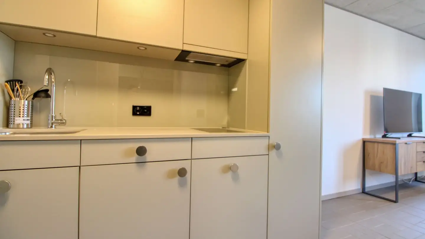 Studio for rent - Brandstrasse 1, 8952 Schlieren - Photo 4